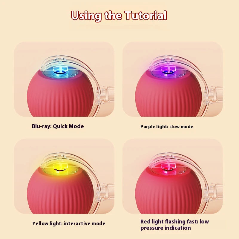"Transform Boredom into Endless Playtime Joy!"