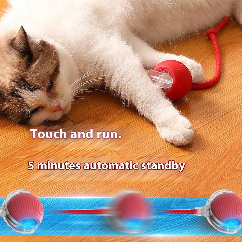 Interactive Adventure Ball™