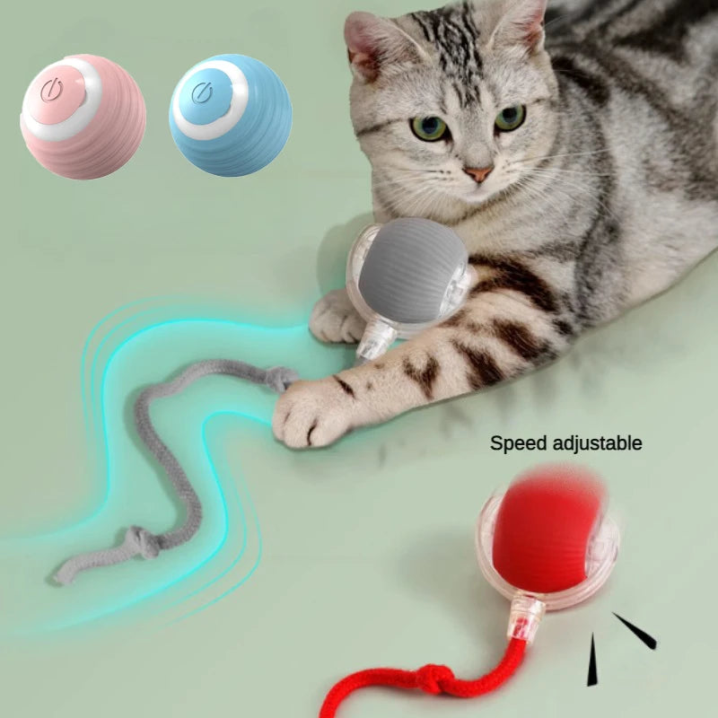 Interactive Adventure Ball™